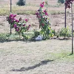 Appartamento 3 Ruoniai Palanga