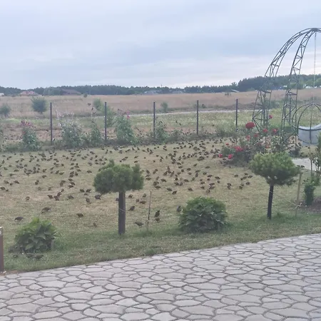 3 Ruoniai Palanga
