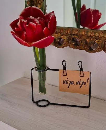 Apartment 3 Ruoniai *